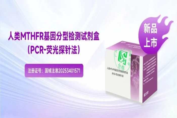 新品上市!MTHFR基因檢測(cè):解碼葉酸代謝,助力科學(xué)補(bǔ)充